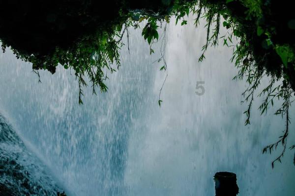 春雨直播app